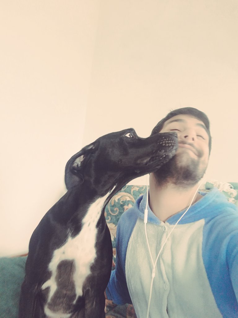 SweetNaillik's tweet photo. Aujourd'hui c'est la #SaintValentin faites comme moi, restez avec votre chien!
C'est la #ChienValentin!
Montrez moi vos chien(ne)s! https://t.co/jk0RfG6Y0T
