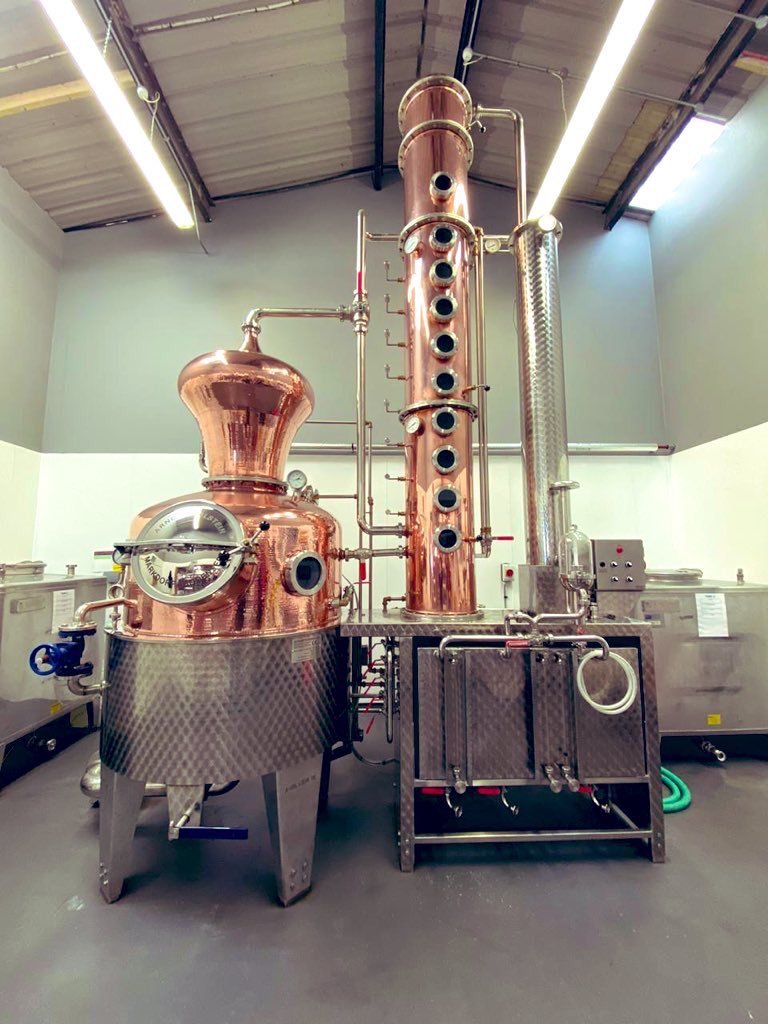 bluebottlegin's tweet photo. Gleaming for you on #Valentines  Day after her early spring clean 💙💗 A bottle of our Blue or Pink Gin can make your day extra special, even if you’re spending #ValentinesWithNobody - we got you ✌🏼❤️🥰 https://t.co/4wZ0AHeqiN