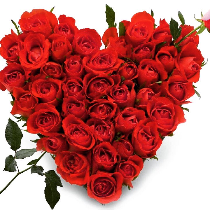 We have a rose for you this Valentine's Day!!  We look forward to offering a free rose to the first 500 guests that visit the Wichita Sport Show on Valentine's Day starting at 4:30pm on Friday.