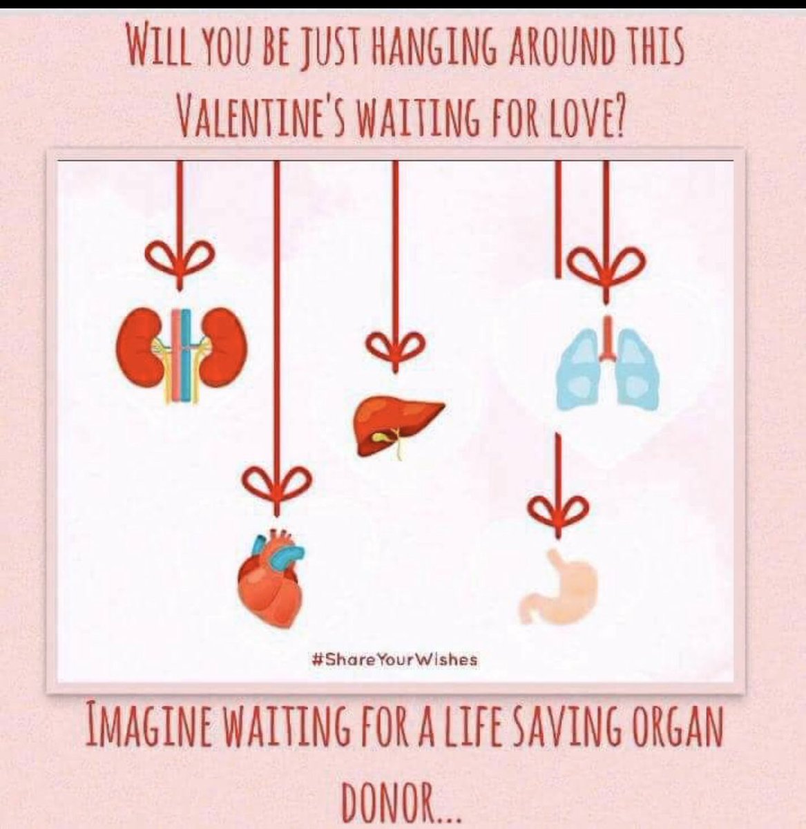 tyshans kidney page (@tyshansp) on Twitter photo 