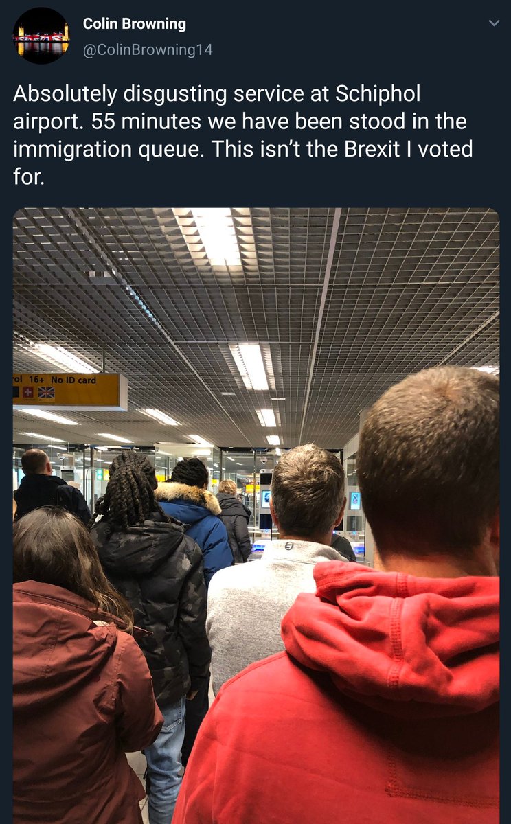 katie spalding tweet media