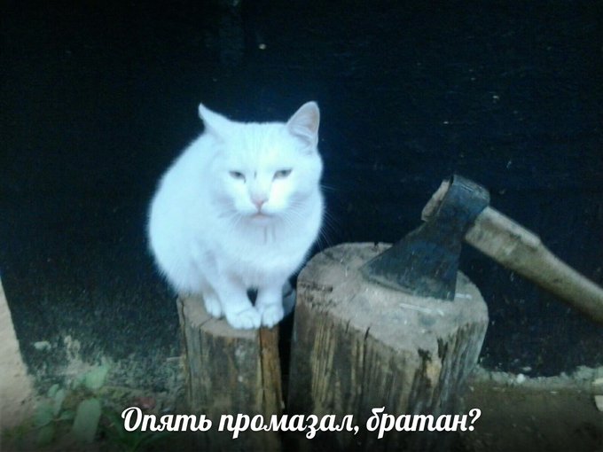 EQvPkZWXsAAX8Jb?format=jpg&name=small