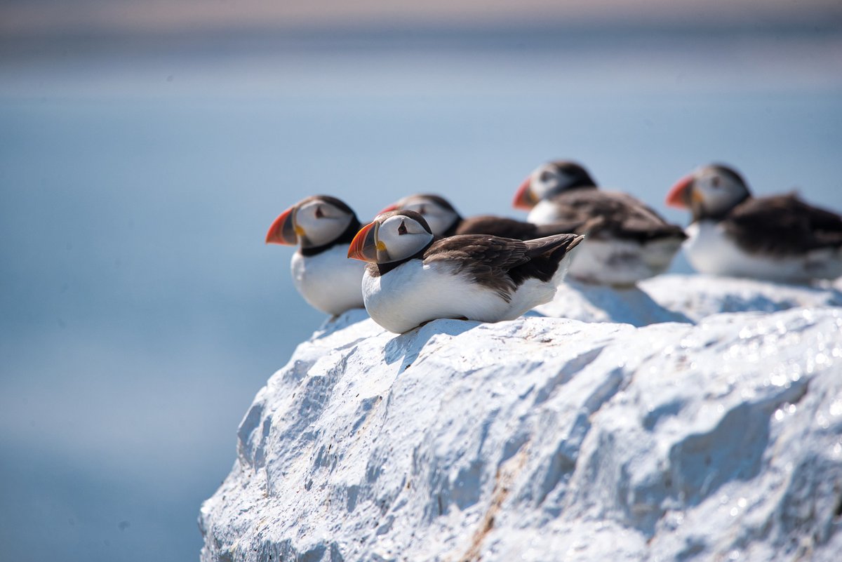 Wildlife and Countryside Link tweet media