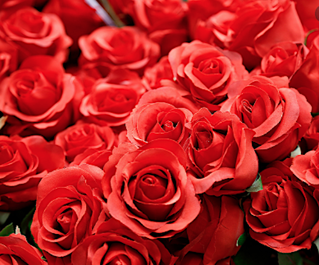 SeductionMeals's tweet photo. love, roses and chocolate
All you need is love
Happy Valentine's Day! xoxo

#xoxo #valentines #session #red #love #roses #valentinesday #happyvalentinesday #heart #vase #rose #chocolate #chocolatelover #allyouneedislove https://t.co/5Ywy2hGSa8