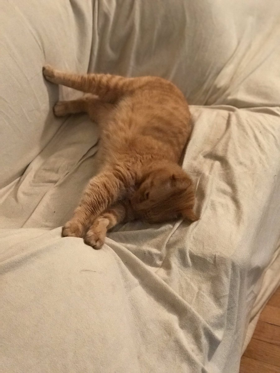 Patrick Skinner tweet media