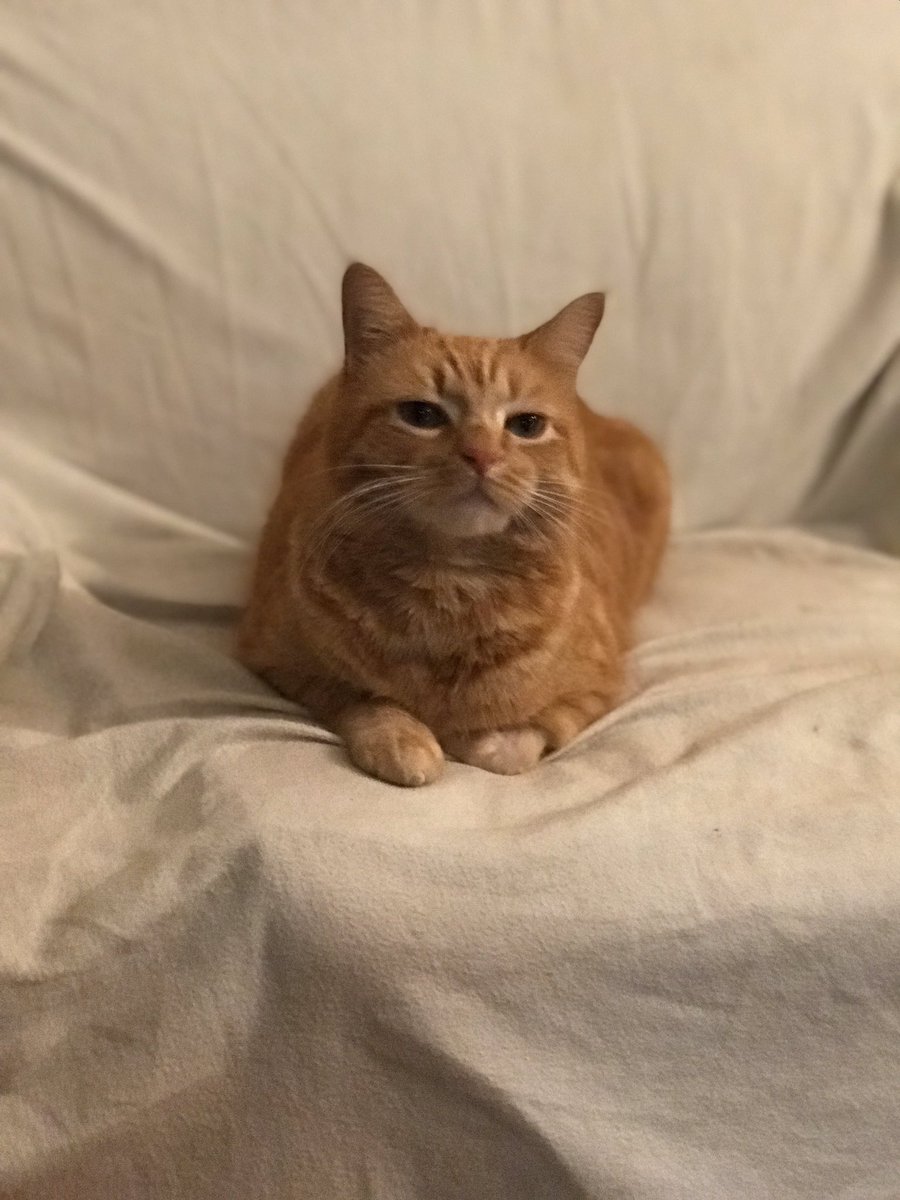 Patrick Skinner tweet media