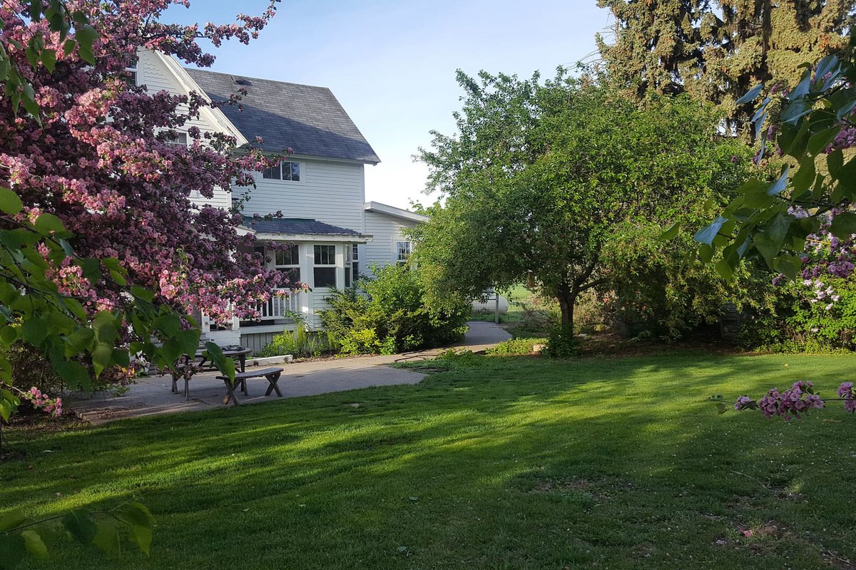 Dreaming of summer!  #hogandsawfarm #montanavacationrental #farmstay