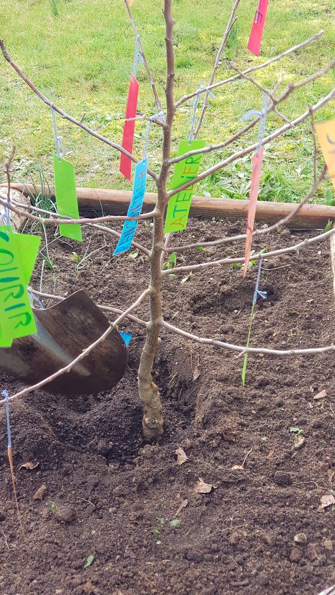 JallansE's tweet photo. Tous les élèves de l'école ont assisté à la plantation du pommier offert par @USEP28EetL  lors du congrès des enfants, il complète le verger.
Merci à @olivier_lecomte , maire et à Mr Catherinot de leur présence. #Nature=futur
@IENChateaudun 
@usepnationale https://t.co/wKkZBvPpm1
