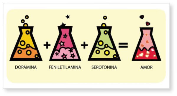 Ciencia En Panamá #CienciaEnPanamá on Twitter: "¡El amor tiene su química! El amor libera dopamina, serotonina y oxitocina, por eso que cuando nos enamoramos nos sentimos excitados, llenos de energía y nuestra
