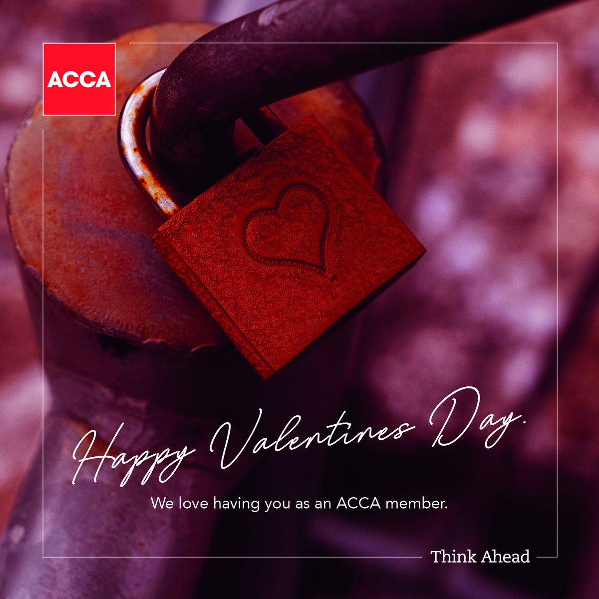 ACCA South Africa tweet media