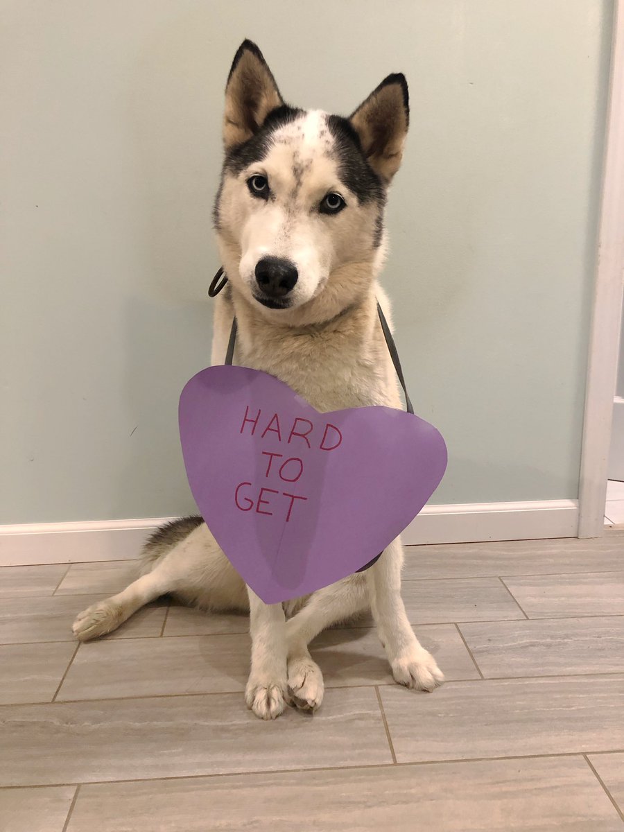 Richie Camden tweet media