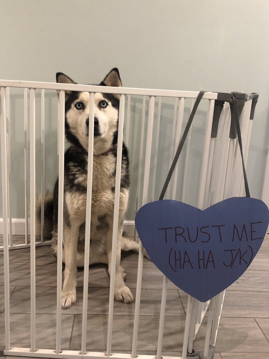 Richie Camden tweet media