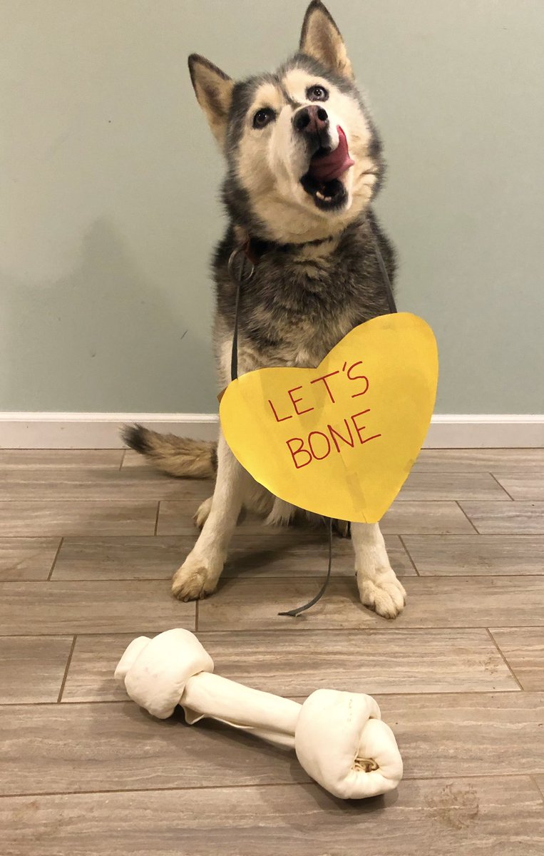 Richie Camden tweet media