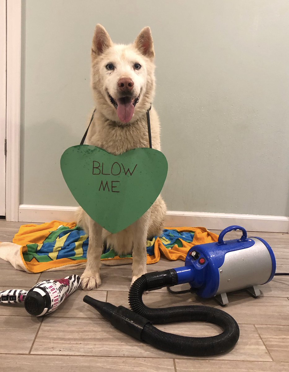 Richie Camden tweet media