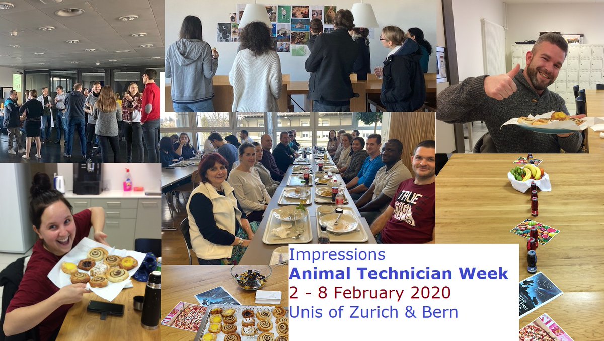 Find some impressions from Animal Technician Week 2 – 8 February 2020 <a href="/unibern/">Universität Bern</a> &amp; <a href="/UZH_ch/">Universität Zürich</a> with joint meals, discusssions and photo competition on our #CultureOfCare page. swiss3rcc.org/2019/10/01/cul…