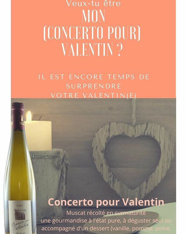 VinsHubertMetz's tweet photo. Happy Valentine's Day ...💕 retrouvez-nous au salon des vignerons indépendants de Strasbourg, stand C5 pour déguster le Concerto pour Valentin! Nous vous attendons 😊🥂 #drinkalsace #muscat #degustation #Strasbourg #winelover #alsacewines #alsacerocks #wine #winefair https://t.co/AtYor7vbYF