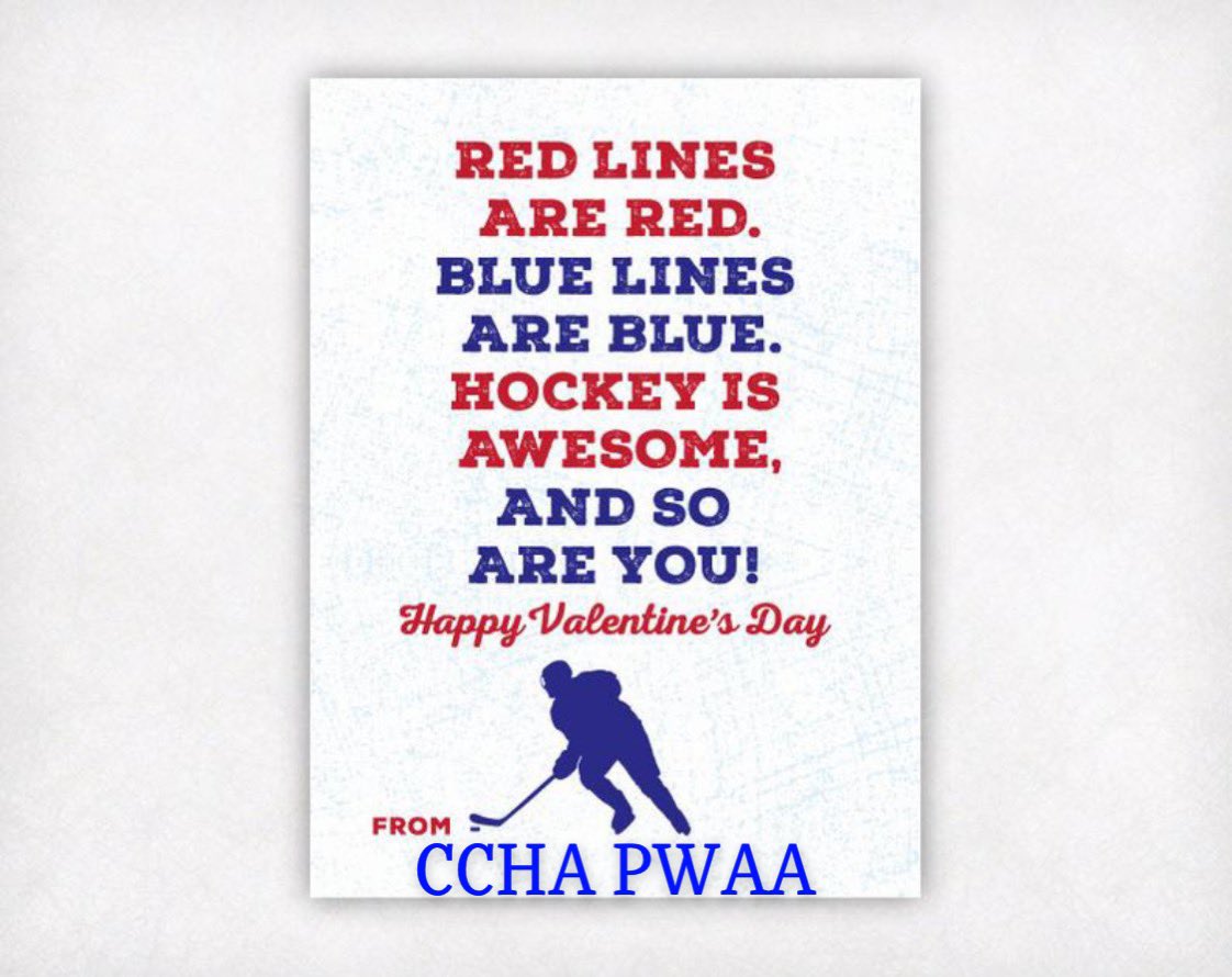 chaska_aa's tweet photo. Happy Valentine’s 🥅💌🏒 Day https://t.co/Q8Nlky0wwo