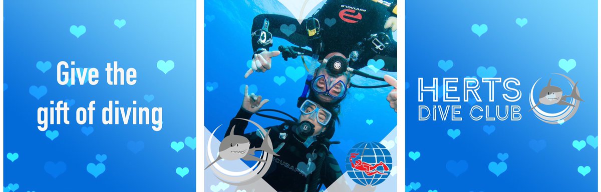 Happy #valentines from the HDC team 💖 if you’re looking to share or start a new adventure, it’s not too late to give the gift of #scubadiving