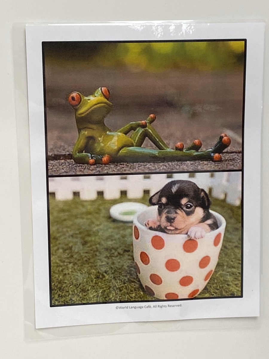 ehtlovesspanish's tweet photo. Honors 3 participated in a gallery walk where they reacted to silly picture prompts while practicing the present subjunctive. https://t.co/XGqeRL8xcl