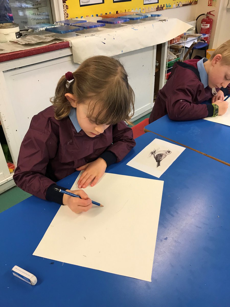 Year Two are working hard doing observational drawings of birds in their Prep Art lessons. #DeanClosePrePrep #DeanCloseArt #DeanCloseYear2