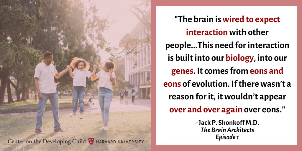 HarvardCenter's tweet image. #ItsAllAboutRelationships ❤️💙💜The first 2 episodes of #TheBrainArchitects explain how important relationships are in building sturdy #brainarchitecture & preventing or lessening the effects of #toxicstress. If you haven't already, subscribe now! ow.ly/N7mP50ymGOZ