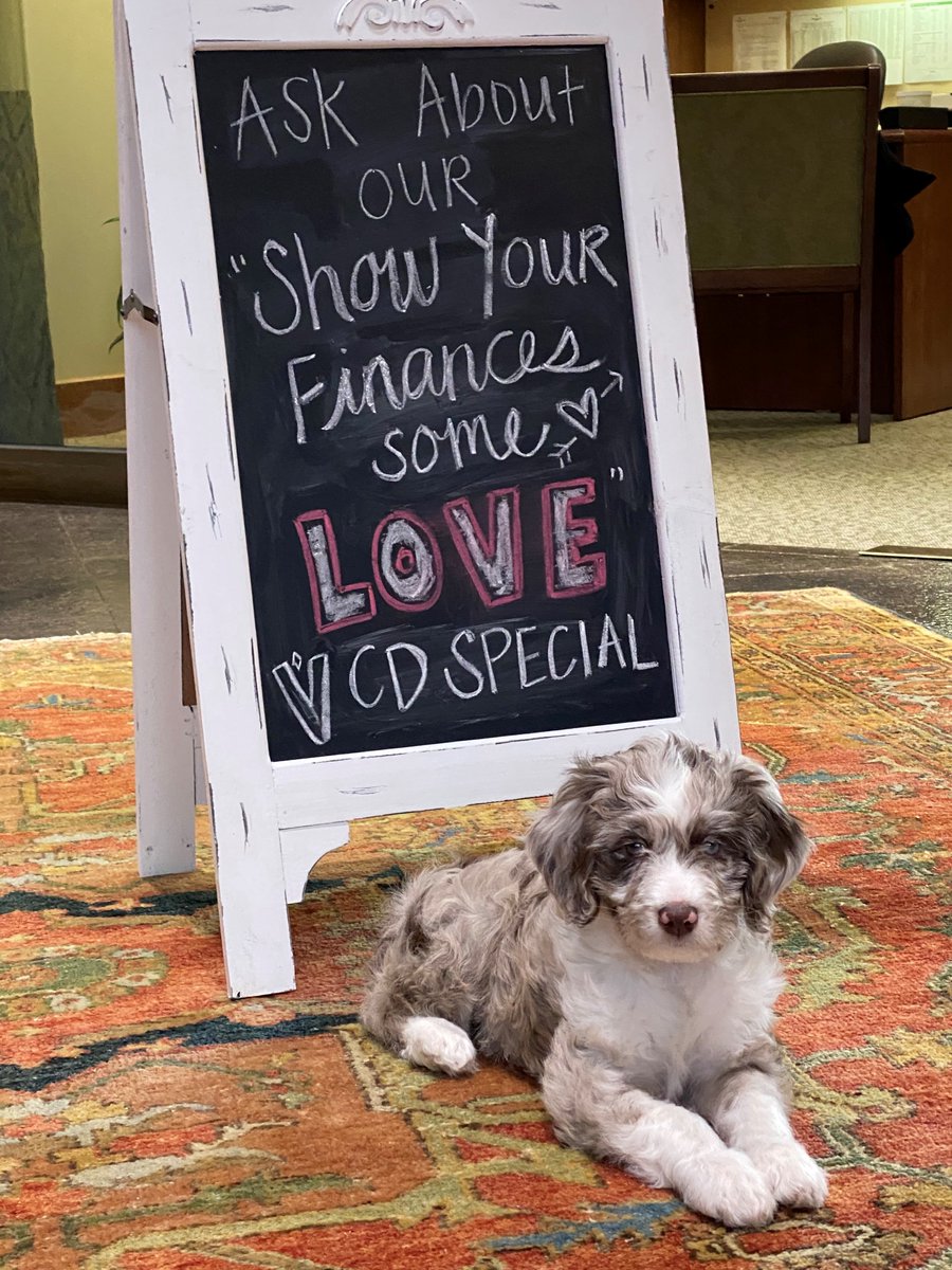 VallianceBank's tweet photo. Meet baby Joey, our official VBank mascot! She would like to wish everyone a happy Valentine’s Day & remind you that today is the last day to “Show Your Finances Some Love” with our CD Special! It’s about time you treat yourself... & your bank account! #cdspecial #vbank https://t.co/zOxSkW3B9b