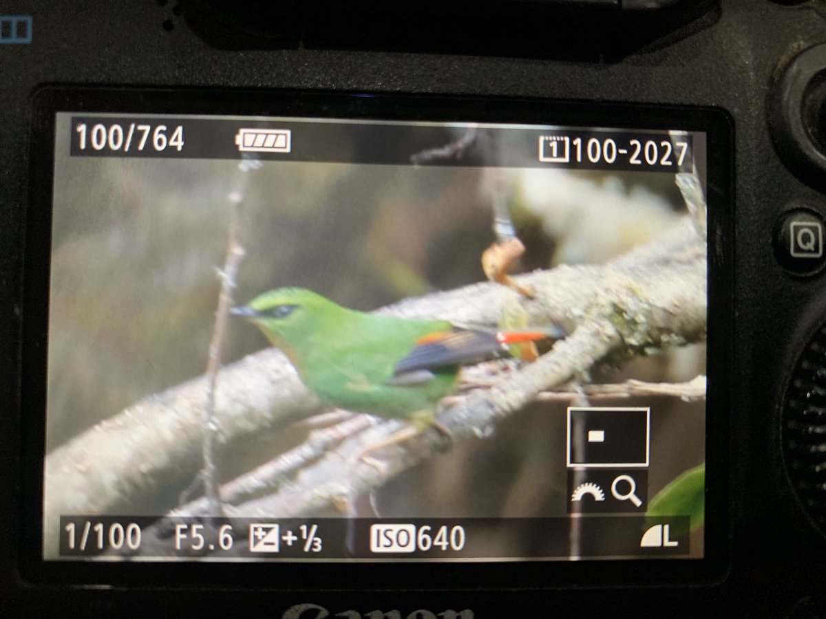 Matt Eade tweet media