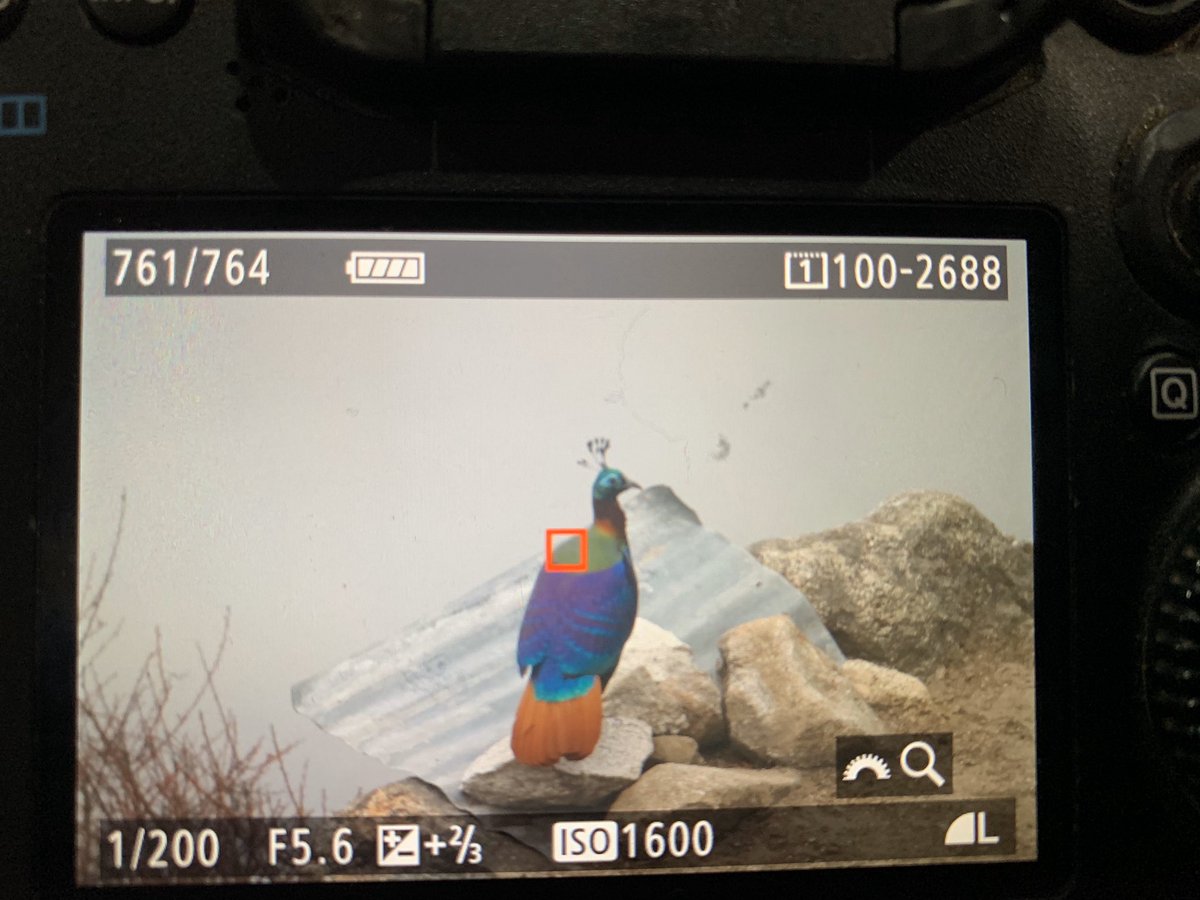 Matt Eade tweet media