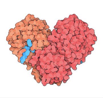 The X-ray crystallography structure of COVID-19 (Corona Virus) #COVID2019 #Coronavius