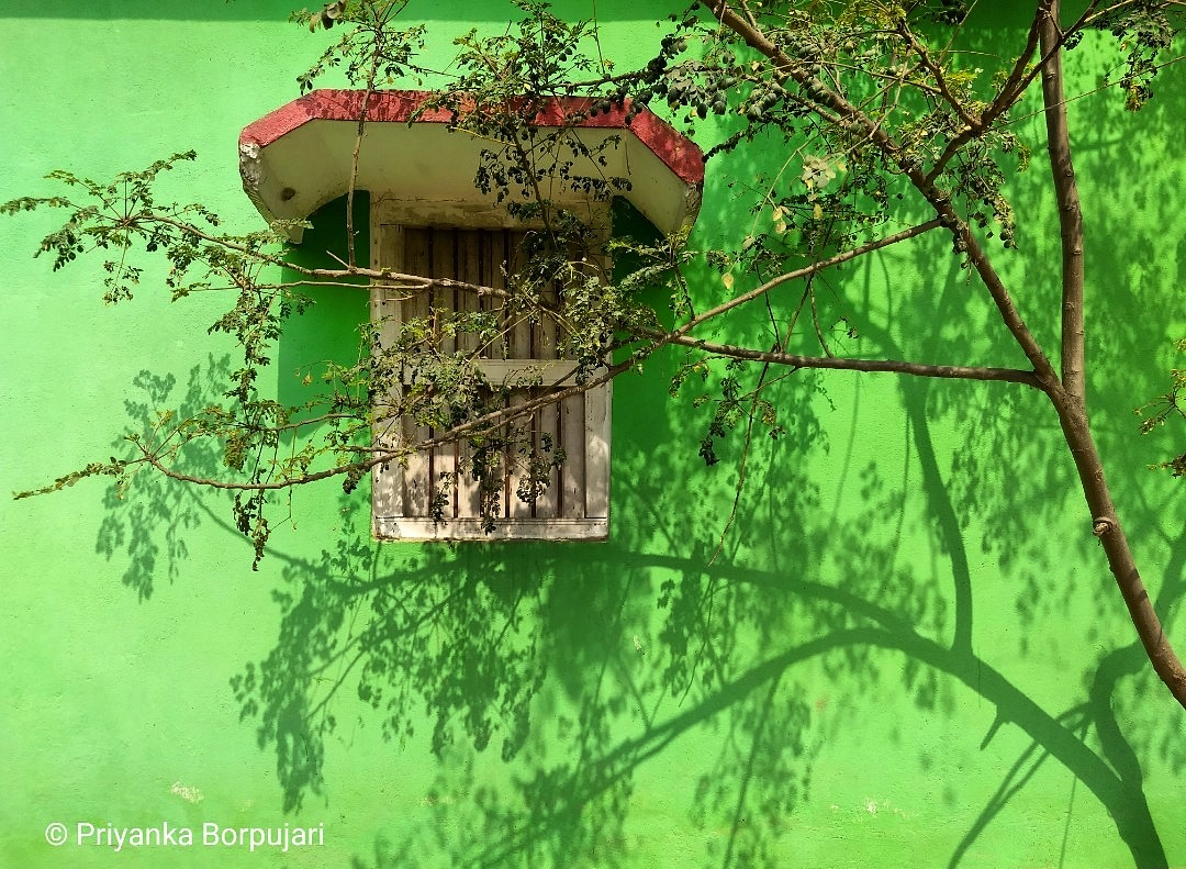 Sun is shiningWeather is sweetSpring leaves singingAnd no sweaty smelly feet.Near Nehuri, Bihar..Windows communicating to  @PaulSalopek and I, on the  @outofedenwalk in February 2019. #EdenWalk