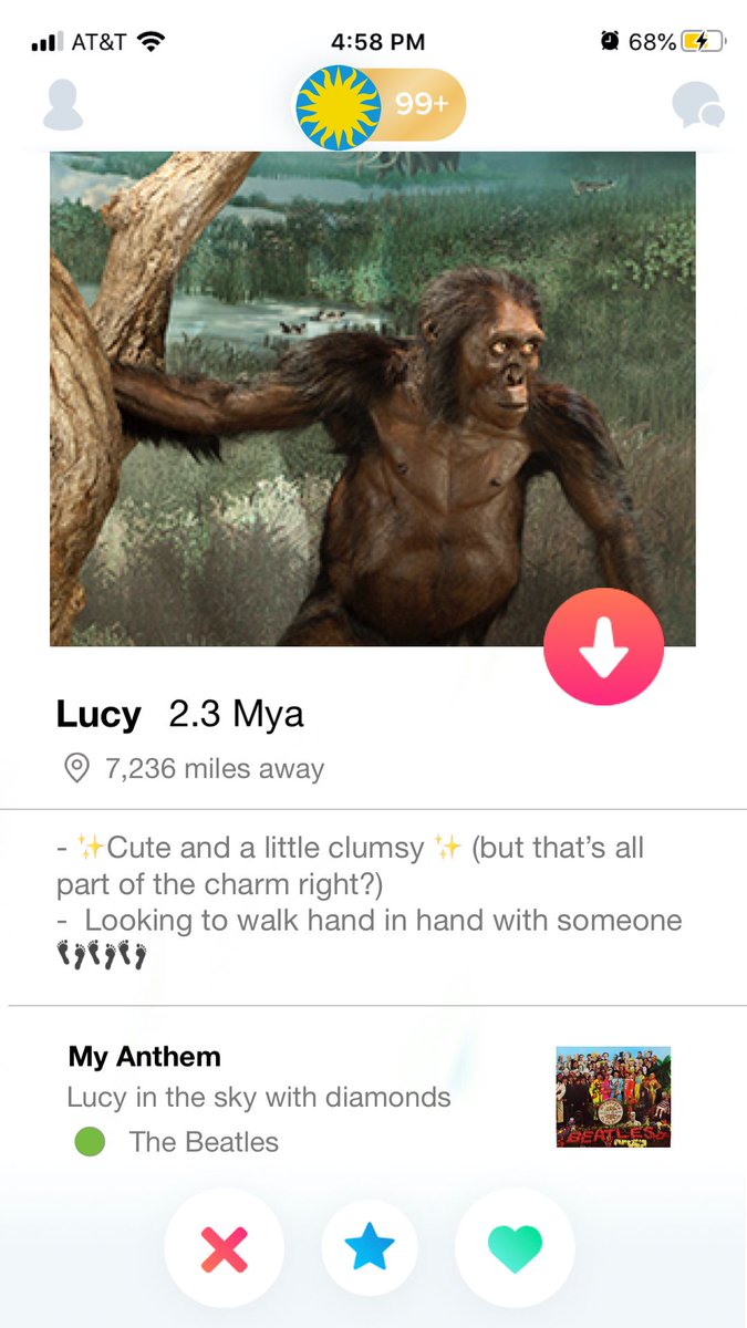 HumanOrigins's tweet photo. We're in 💘 w/human evolution! Meet our singles: Lucy (𝘈𝘶𝘴𝘵𝘳𝘢𝘭𝘰𝘱𝘪𝘵𝘩𝘦𝘤𝘶𝘴 𝘢𝘧𝘢𝘳𝘦𝘯𝘴𝘪𝘴), Neo (𝘏𝘰𝘮𝘰 𝘯𝘢𝘭𝘦𝘥𝘪), Ardi (𝘈𝘳𝘥𝘪𝘱𝘪𝘵𝘩𝘦𝘤𝘶𝘴 𝘳𝘢𝘮𝘪𝘥𝘶𝘴), &amp; Turkana Boy (𝘏𝘰𝘮𝘰 𝘦𝘳𝘦𝘤𝘵𝘶𝘴). Would you 'swipe right' on these #PaleoValentines ? https://t.co/QnBmE9kB7R