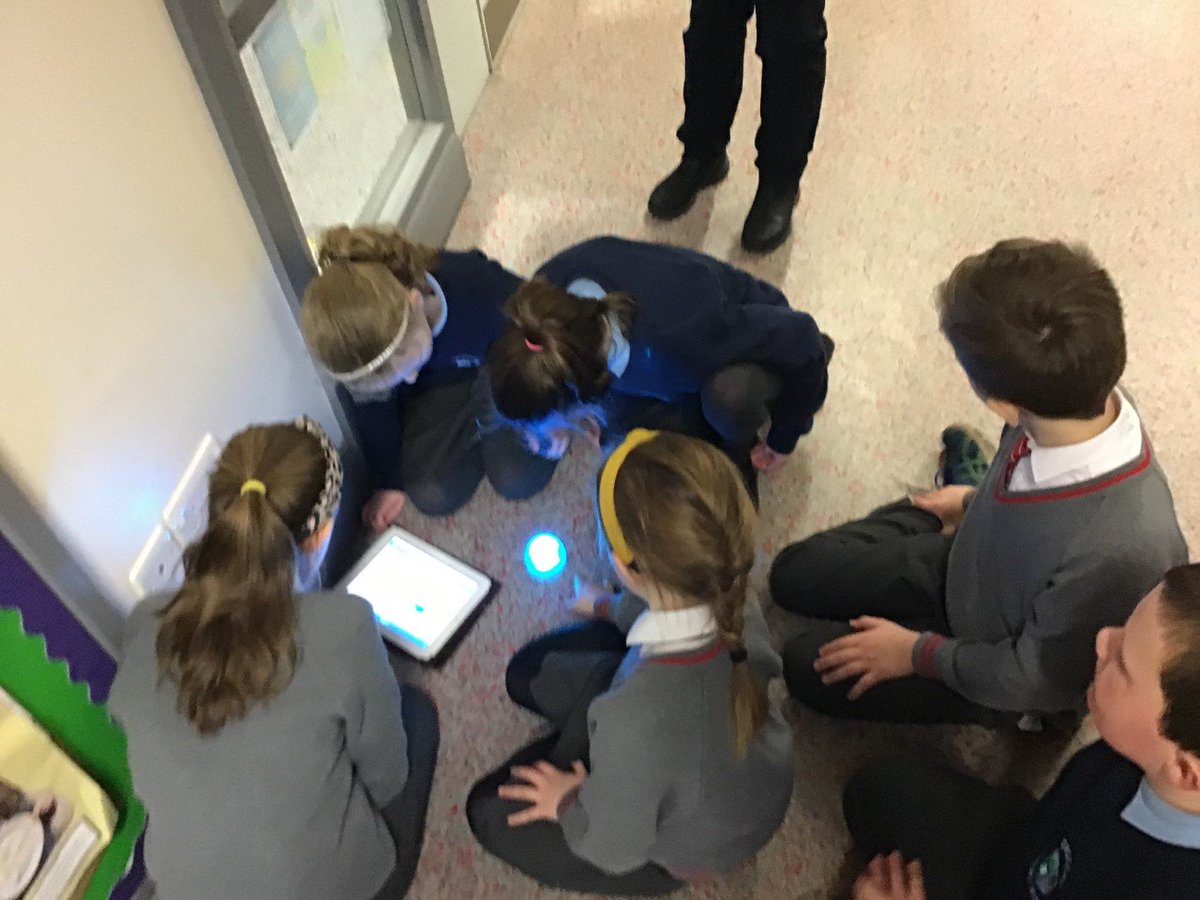 GrogganPrimary's tweet image. A brilliant day of Coding with @millquarterps and @TeachingCave as part of our @CASEshared project. The children learning and working together.