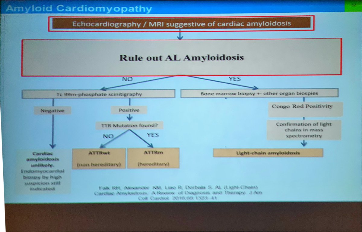 DavidACohen3's tweet image. Medical Grand Rounds this AM @ Lankenau: #JohnClark DO discusses #Amyloidosis.  Is this the Disease of the Decade?  #MainLineHealth