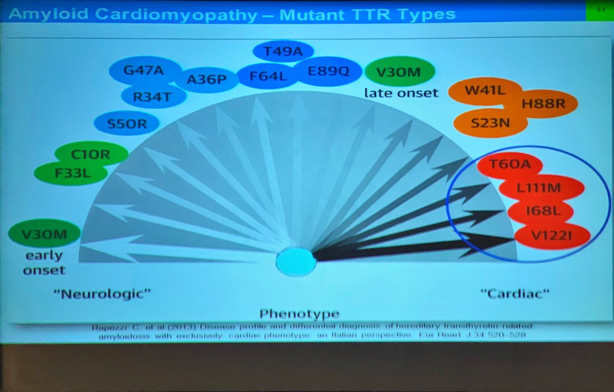 DavidACohen3's tweet image. Medical Grand Rounds this AM @ Lankenau: #JohnClark DO discusses #Amyloidosis.  Is this the Disease of the Decade?  #MainLineHealth
