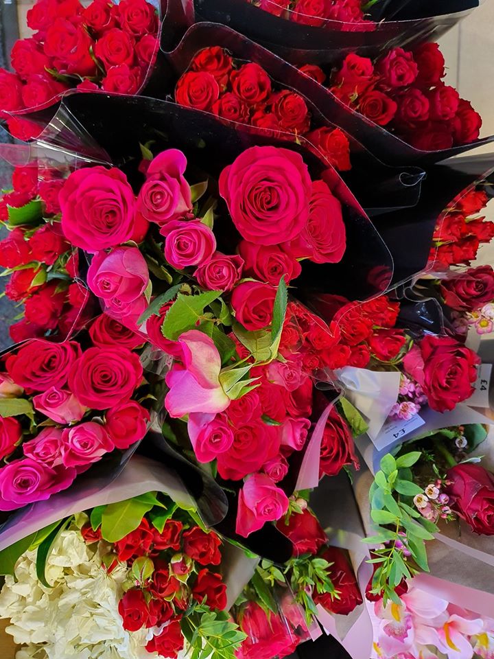 Pinkie Farm tweet media