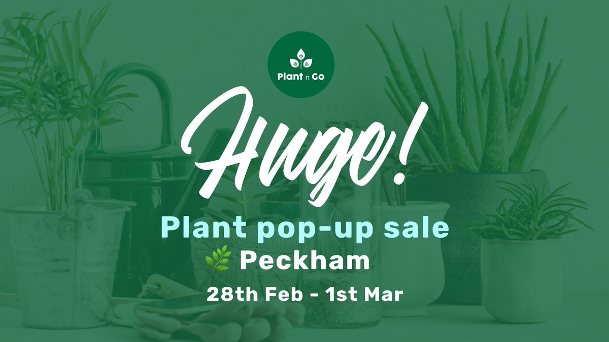 If you're a plant lover then you will be overjoyed to hear about the Huge Plant Pop-Up Sale that's about to grace Copeland Park. Free entry and taking place 28th February -1st March in Copeland Gallery, most plants will be between £2-£20. copelandpark.com/events/10977/b…