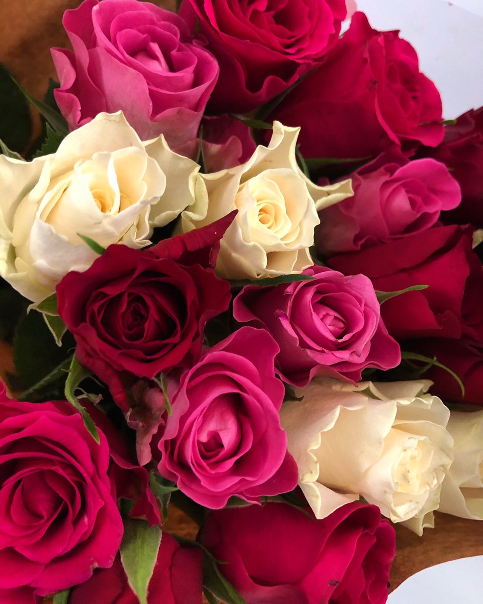 HAPPY VALENTINES DAY ❤️💝🥰 Take a moment to tell everyone special in your life that you love them!