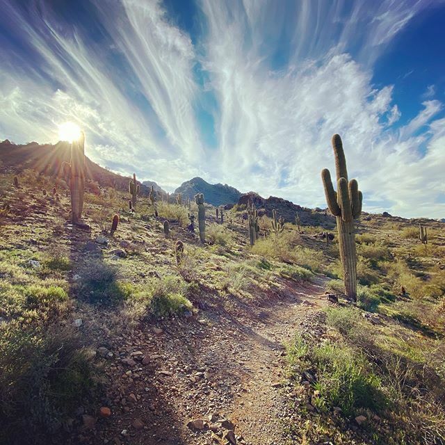 BurntToast_FG's tweet photo. The studio will be closed for the next few days due to an itch for adventure. .
.
.
#hadto #getaway #desertbeauty #openskies #phxaz #broughtmyboots #sonorandesert #hikingtrailsofinstagram #adventure https://t.co/D2bZylfOzD https://t.co/UQP1jJL5Zn