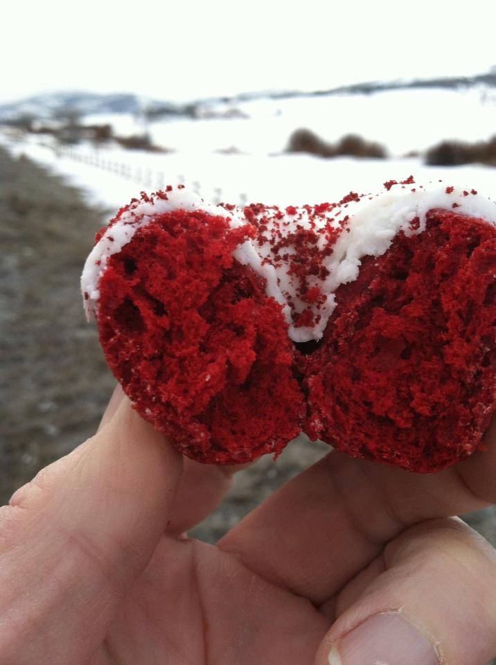 Virginia Rainey tweet media