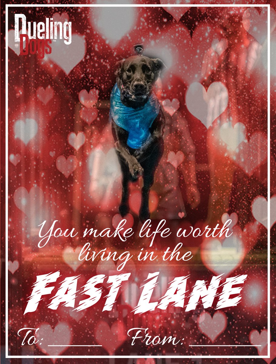 duelingdogs's tweet photo. Happy Valentine’s Day from Dueling Dogs 🏁❤️🐶

Check out our exclusive Dueling Dogs Valentine’s Day cards❤️ https://t.co/0virFJSMST