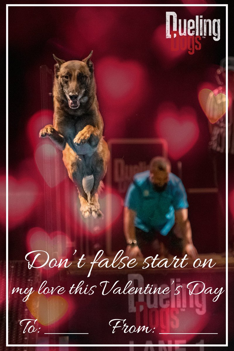 duelingdogs's tweet photo. Happy Valentine’s Day from Dueling Dogs 🏁❤️🐶

Check out our exclusive Dueling Dogs Valentine’s Day cards❤️ https://t.co/0virFJSMST