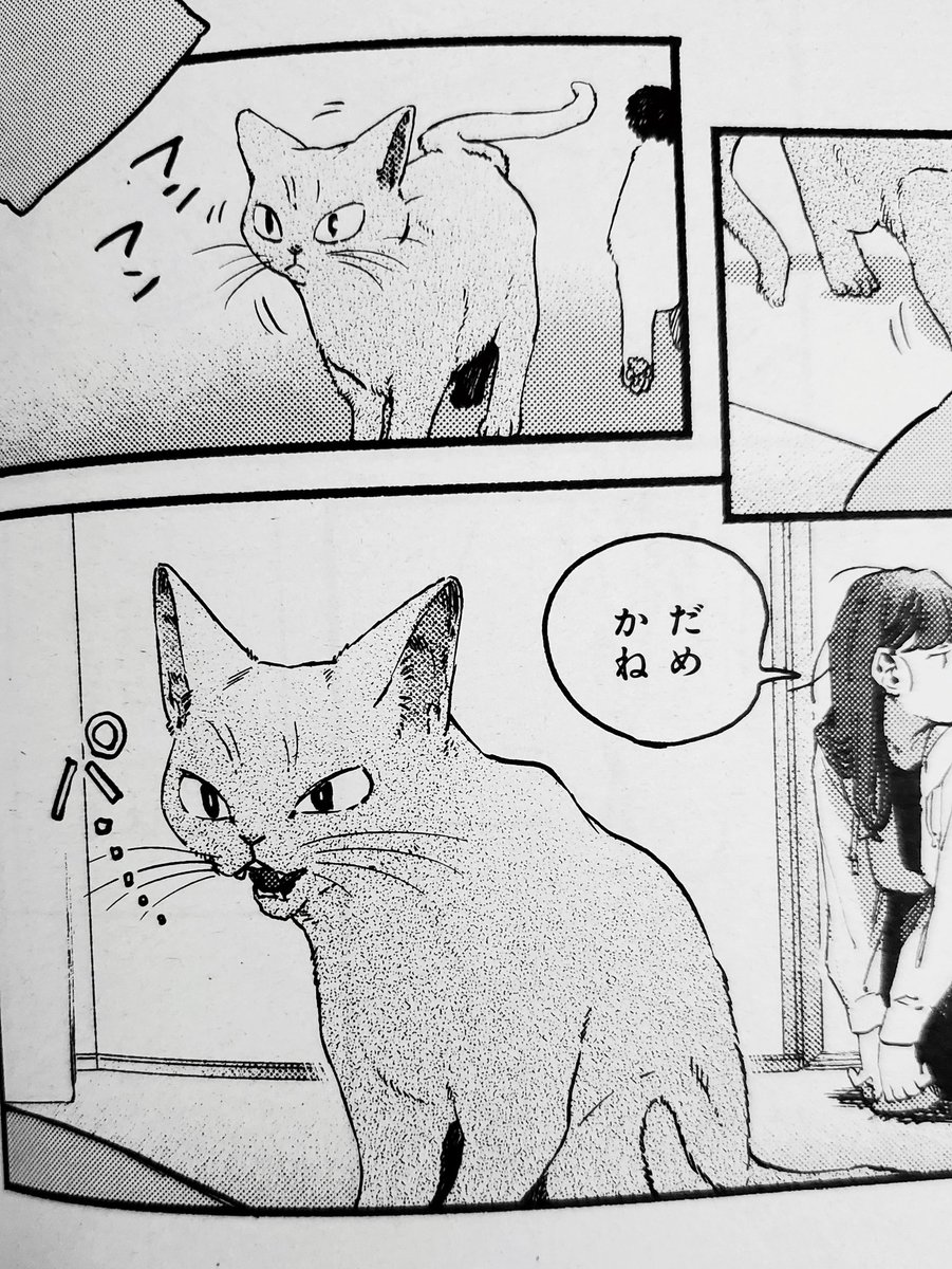 本日14日発売の週刊漫画TIMES(2/28号)に『ねこだまり』掲載しております。画像はフレーメン反応のコマです🐈🐈🤔🐈 