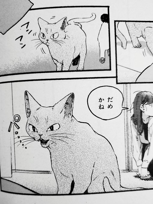 郷本 G0umot0 さんのマンガ一覧 古い順 3ページ ツイコミ 仮 郷本 G0umot0 さんのマンガ一覧 古い順 3ページ ツイコミ 仮