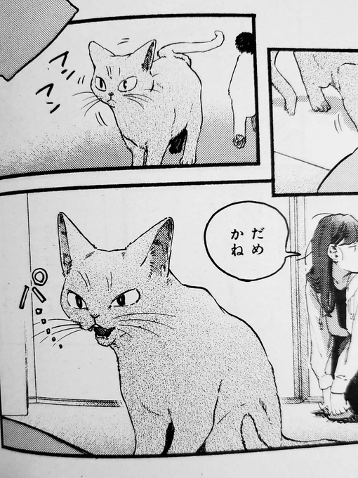本日14日発売の週刊漫画TIMES(2/28号)に『ねこだまり』掲載しております。画像はフレーメン反応のコマです🐈🐈🤔🐈 