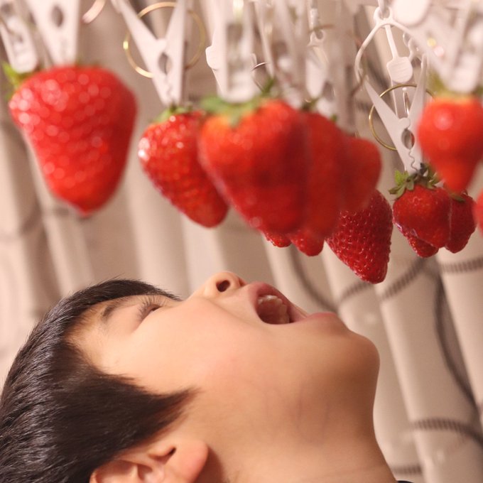 イチゴ狩りのtwitterイラスト検索結果 古い順