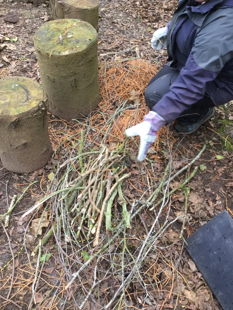 Prepping ready to make mini fires to toast marshmallows and make s’mores 🤤😋

#forestschool 
#outdoorlearning 
#campfirecooking
#northwales 
#training