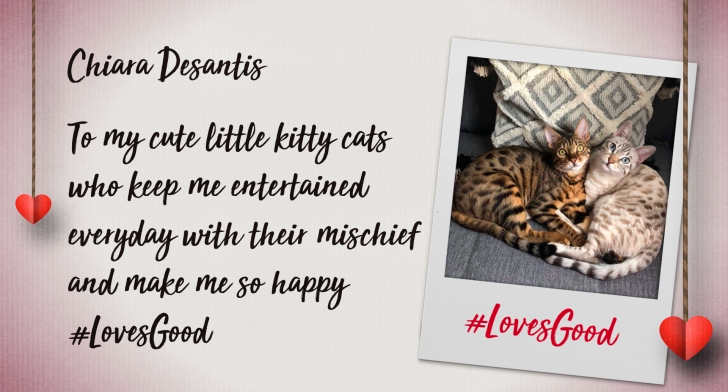 LGUK's tweet photo. True love comes in many forms 😻 #ValentinesDay #ValentinesDay2020
@chiarastarr 
Share your messages of love using #LovesGood and we'll share them across social 🌎 https://t.co/kMcxDptRlf