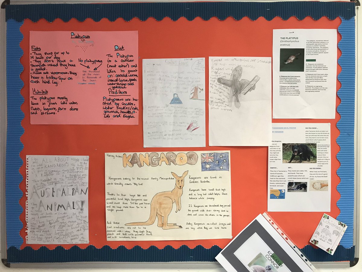 EaglesclassM's tweet photo. We’ve been learning about Australia and trying to raise awareness about the bushfires. These are just some of our brilliant homework projects about animals that are native to Australia. @moorlandsbelton https://t.co/tHgS5ofJ4a
