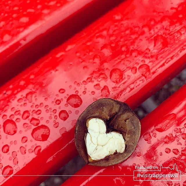 Bitz Liebi
.
Congrats!
.
★ Visit Rapperswil Feature ★
Picture by - <a href="/christ/">NO.</a>.stephanie
Selected by - <a href="/sergioshootz/">Sergio Navarro</a>
.
Show ❤👏 to the original post as well, thanks!
.
For a chance to get featured follow <a href="/visitrapperswil/">Visit Rapperswil</a> and tag #rapperswil or #visitrappe… ift.tt/2HmUfJ1