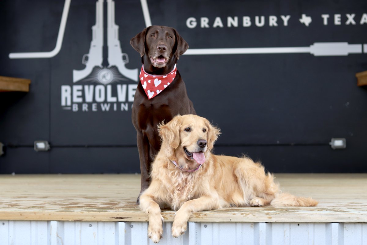 RevolverBrewing's tweet photo. Starting this Saturday, Revolver will be dog-friendly!  We welcome you to bring your pups out to enjoy the brewery, as long as they're leashed, vaccinated, and well-behaved with other dogs and kids! #loveisinthebeer #revolverbrewing  #dogfriendlybrewery https://t.co/w8un22ZZy2